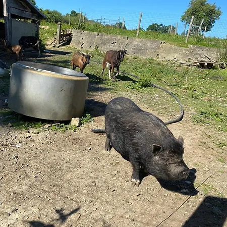 La Pautiere Saint-Sauveur-Lendelin