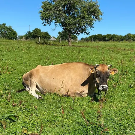 La Pautiere Alojamento de Acomodação e Pequeno-almoço Saint-Sauveur-Lendelin