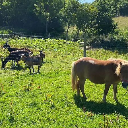 La Pautiere *