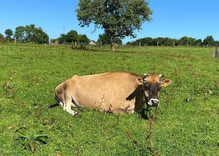 La Pautiere Bed & Breakfast Saint-Sauveur-Lendelin